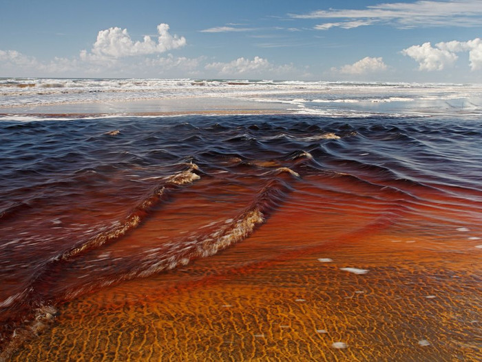 beach-fraser-island-essick